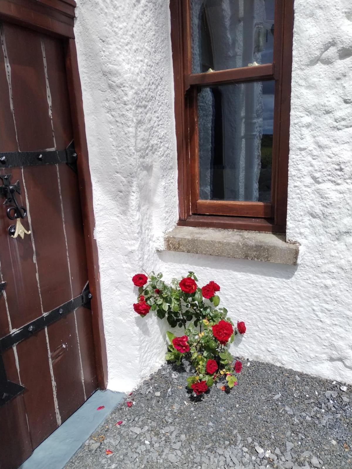 Вилла The Burren Art Gallery Built In 1798 Tubber Экстерьер фото
